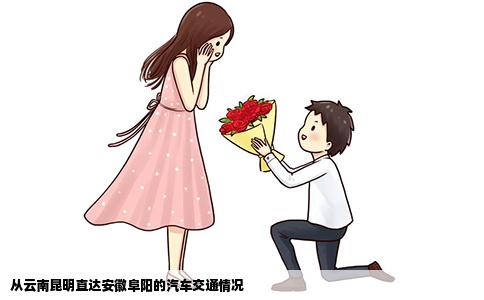 從云南昆明直達(dá)安徽阜陽(yáng)的汽車交通情況