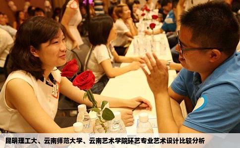 昆明理工大、云南師范大學(xué)、云南藝術(shù)學(xué)院環(huán)藝專業(yè)藝術(shù)設(shè)計比較分析