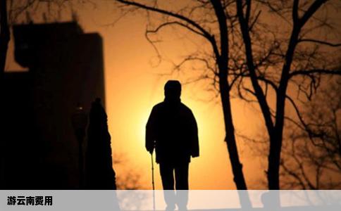 游云南費(fèi)用