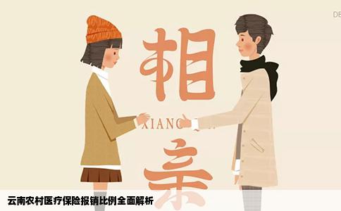 云南農(nóng)村醫(yī)療保險報(bào)銷比例全面解析