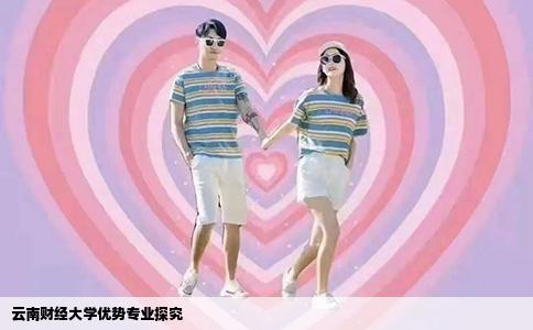 云南財(cái)經(jīng)大學(xué)優(yōu)勢(shì)專業(yè)探究