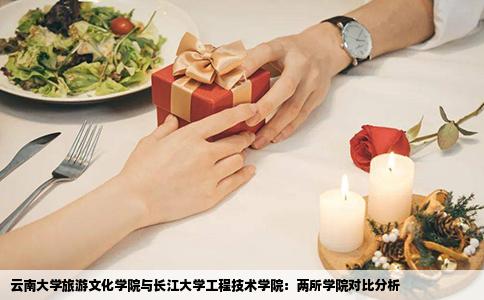 云南大學(xué)旅游文化學(xué)院與長江大學(xué)工程技術(shù)學(xué)院：兩所學(xué)院對比分析