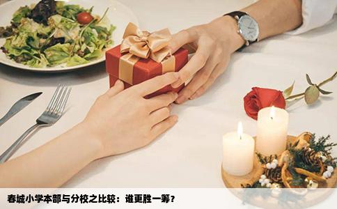 春城小學(xué)本部與分校之比較：誰(shuí)更勝一籌？