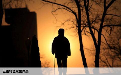 云南特色水果詳錄