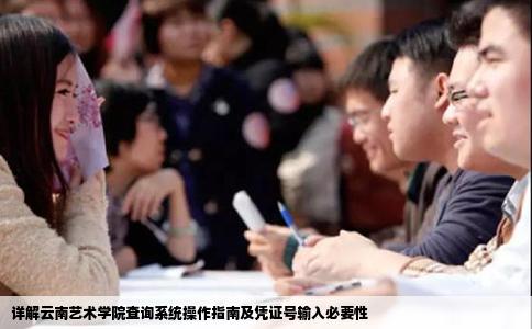 詳解云南藝術(shù)學(xué)院查詢系統(tǒng)操作指南及憑證號輸入必要性