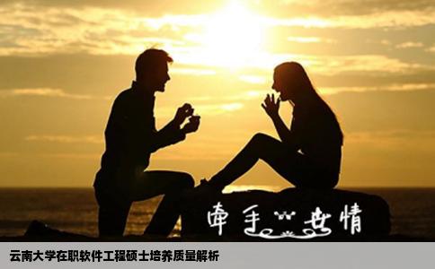 云南大學(xué)在職軟件工程碩士培養(yǎng)質(zhì)量解析